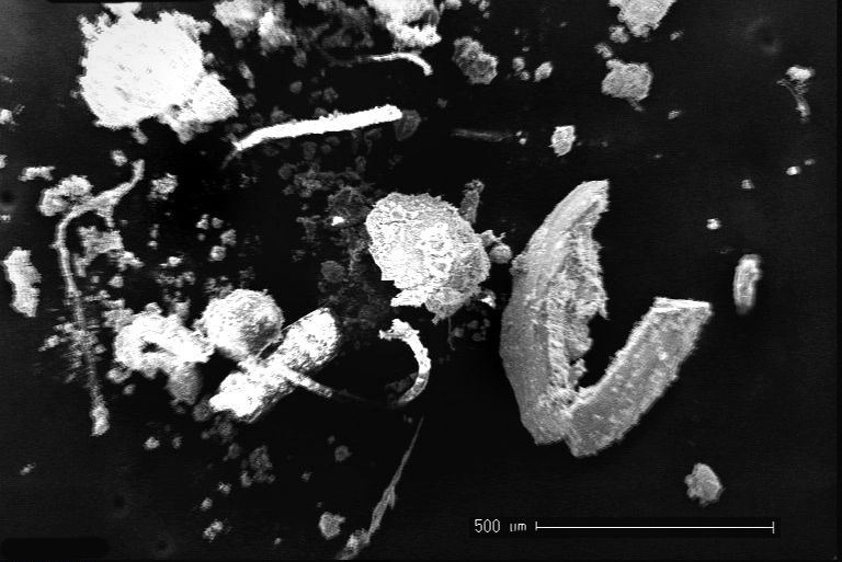An electron microscope image of polymers, including glassy beads evidencing external ingress